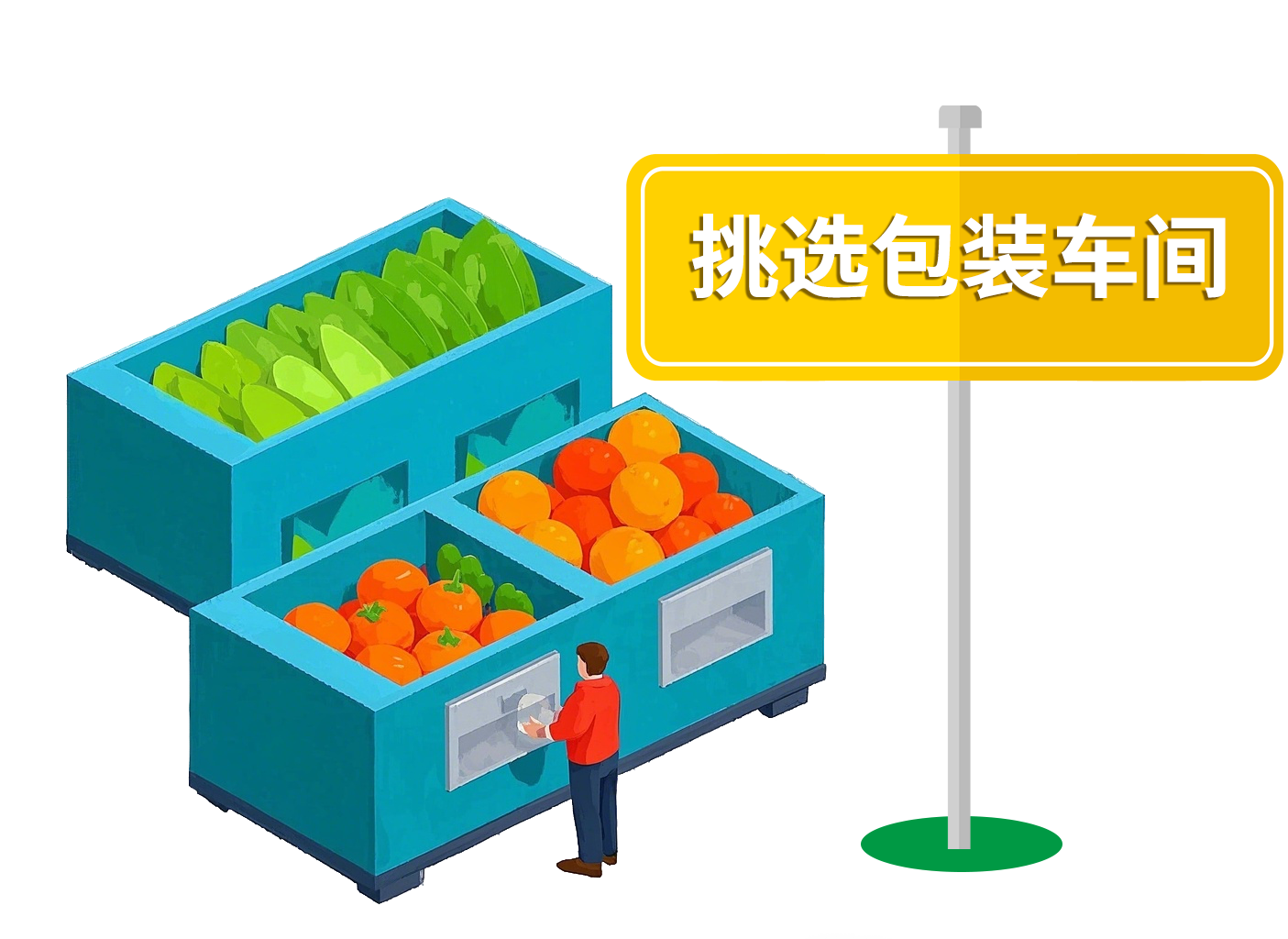 挑选包装车间